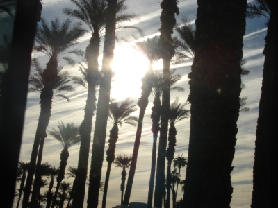 Palm Desert CA