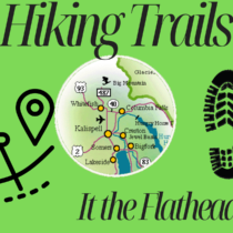 Hiking Trails in the Flathead Valley